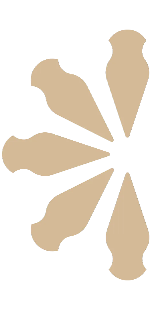 CWBranding pine symbol — Curitiba agency serving Canada
